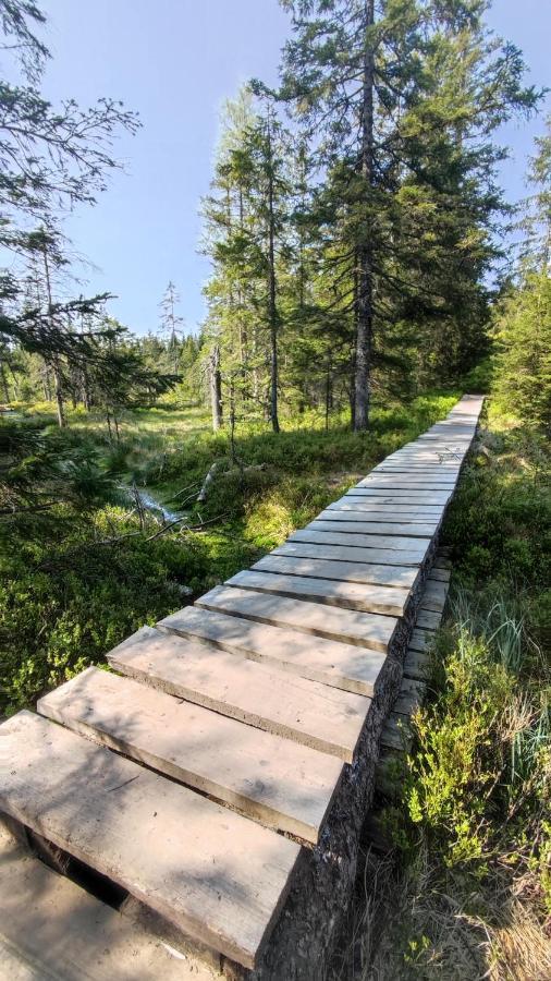 Appartamento Am Berg Feldberg  Esterno foto