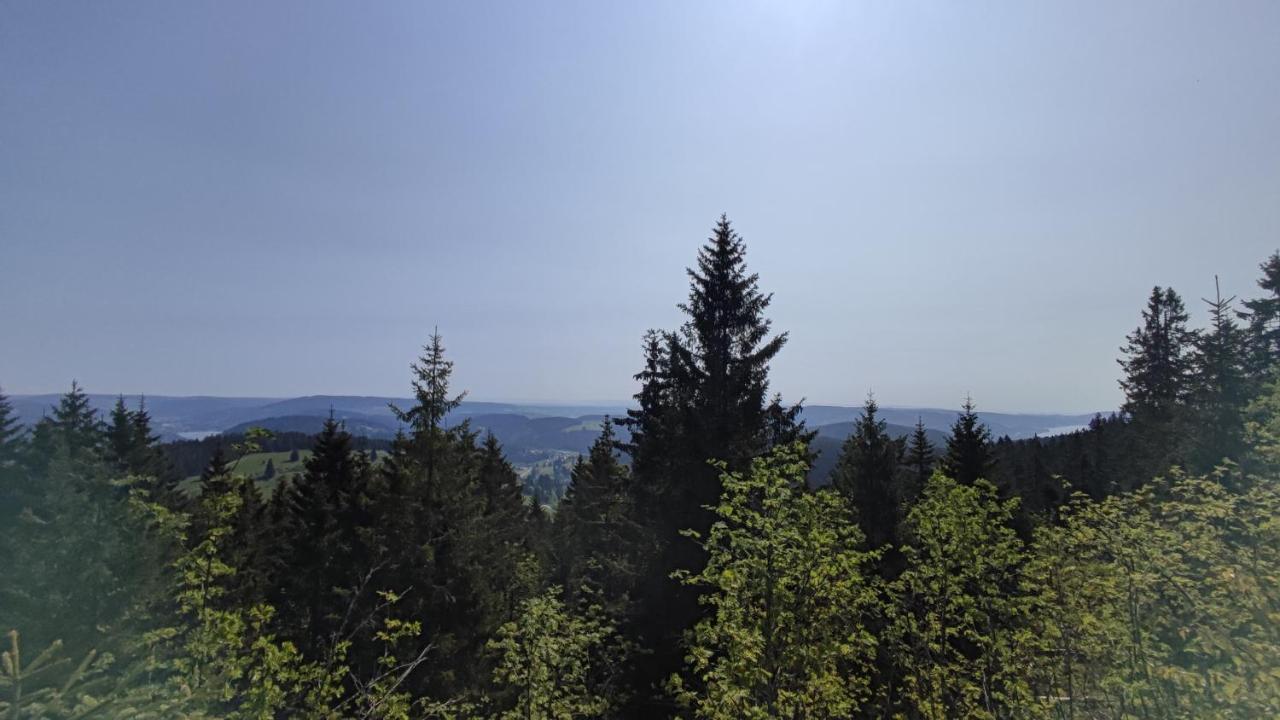 Appartamento Am Berg Feldberg  Esterno foto