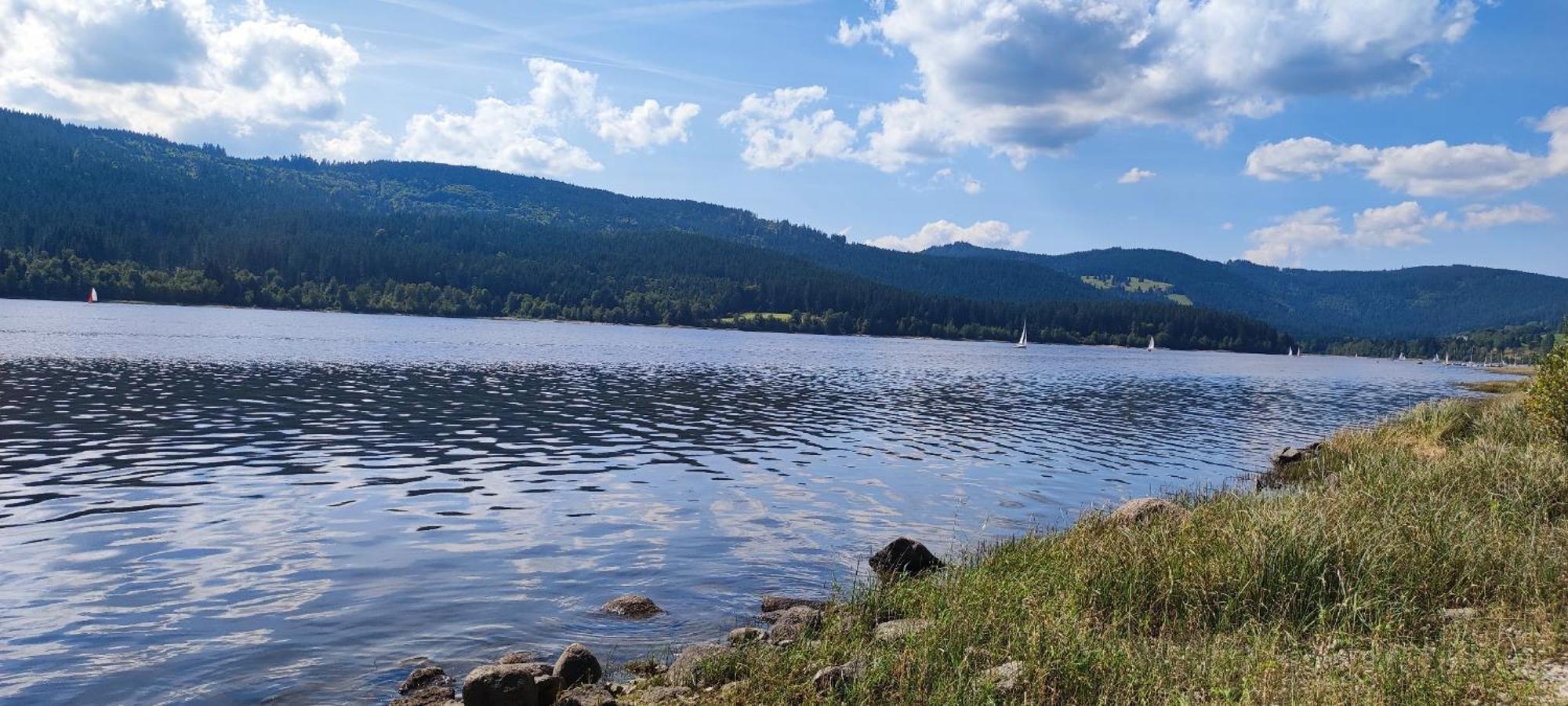 Appartamento Am Berg Feldberg  Esterno foto