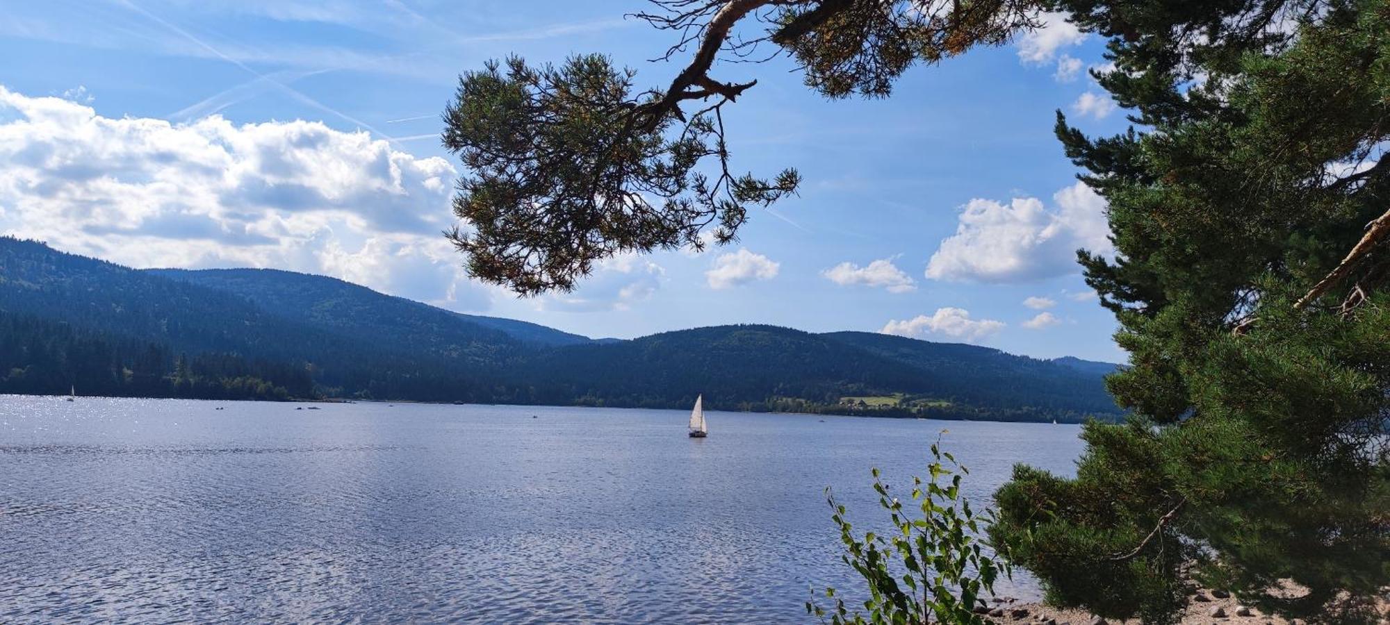 Appartamento Am Berg Feldberg  Esterno foto