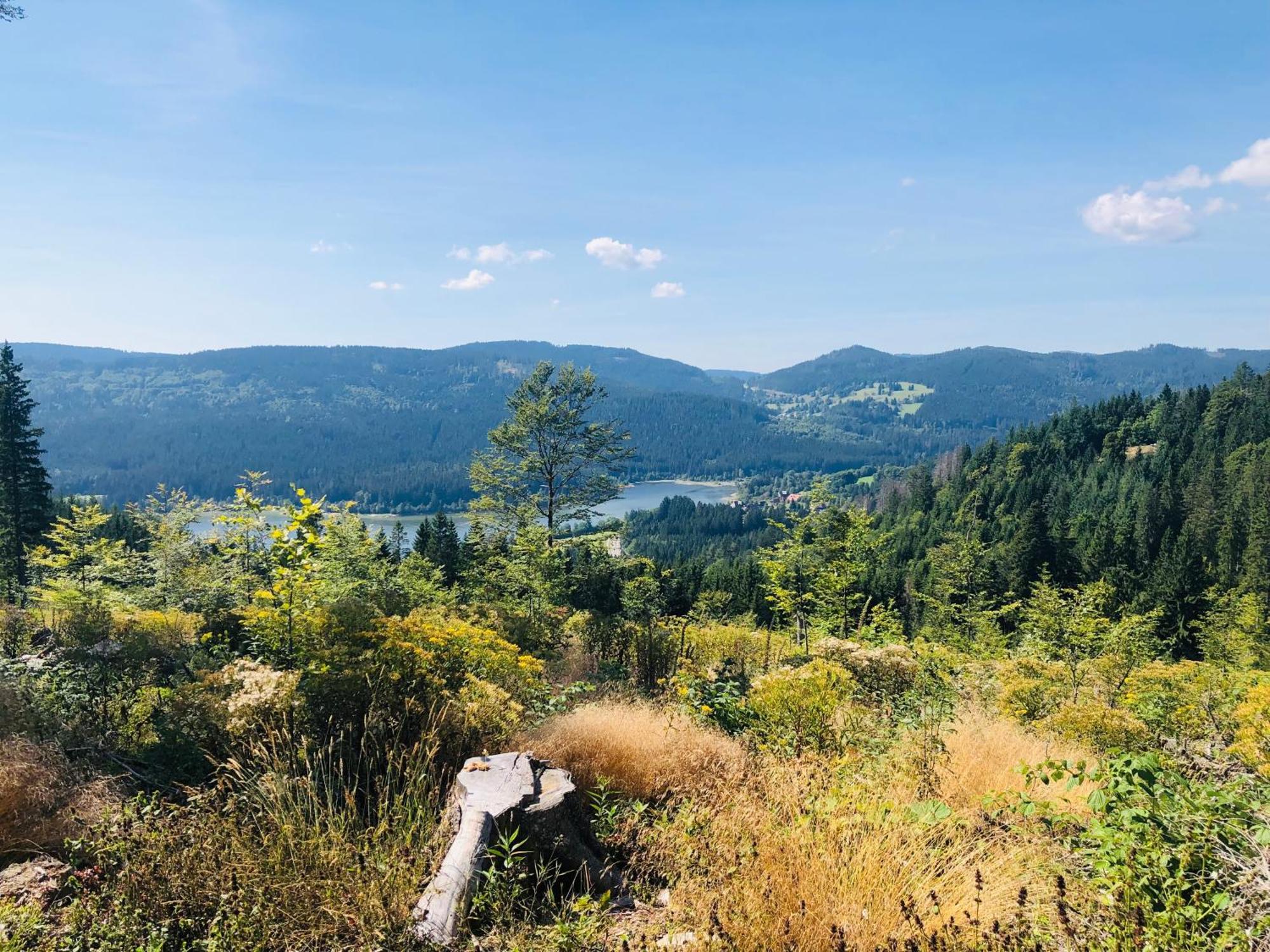 Appartamento Am Berg Feldberg  Esterno foto