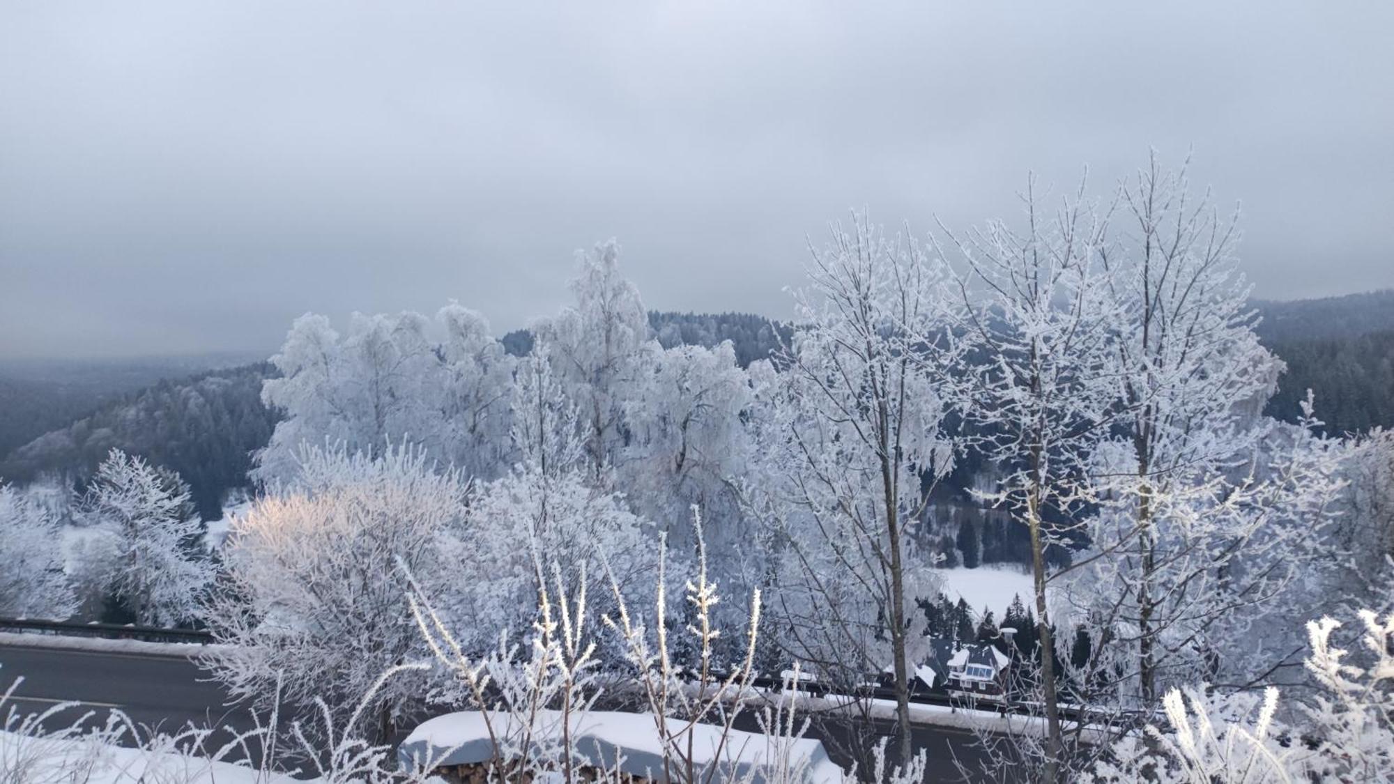 Appartamento Am Berg Feldberg  Esterno foto