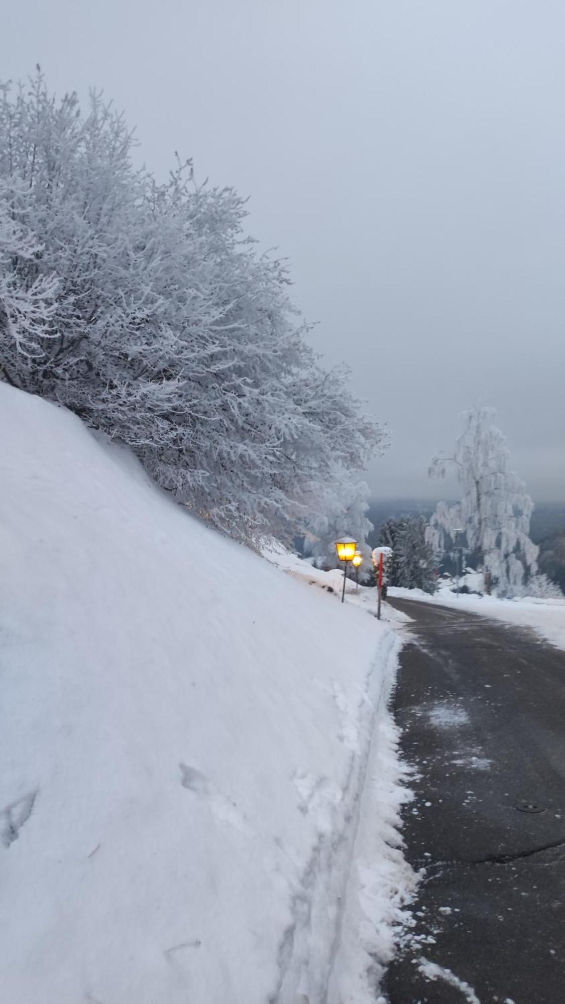 Appartamento Am Berg Feldberg  Esterno foto