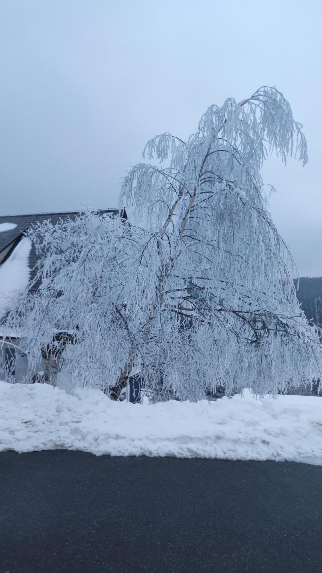 Appartamento Am Berg Feldberg  Esterno foto