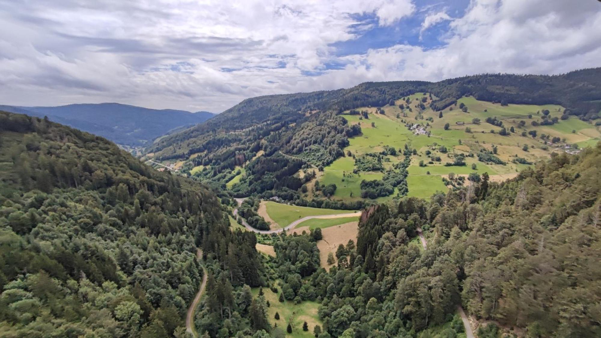 Appartamento Am Berg Feldberg  Esterno foto
